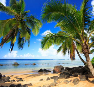 Tropischer Sandstrand auf Hawaii mit Palmen, schwarzen Lavasteinen und klarem, t&uuml;rkisfarbenem Wasser unter blauem Himmel.