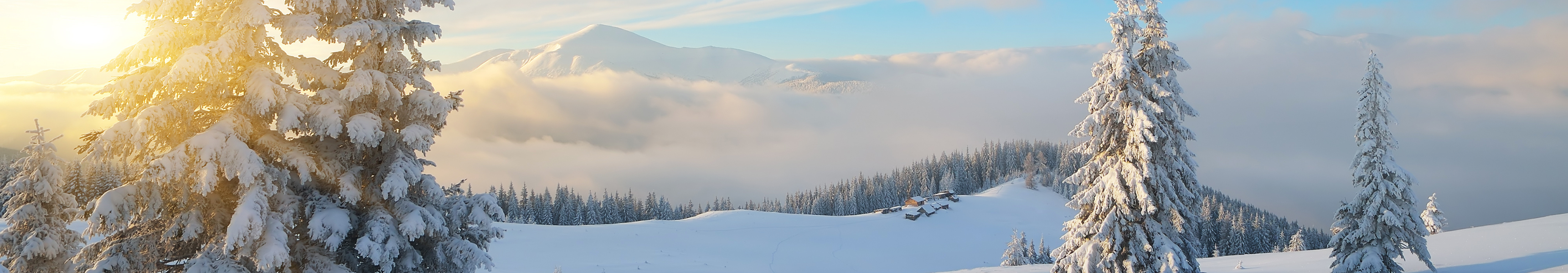 Winterurlau-im-Schnee