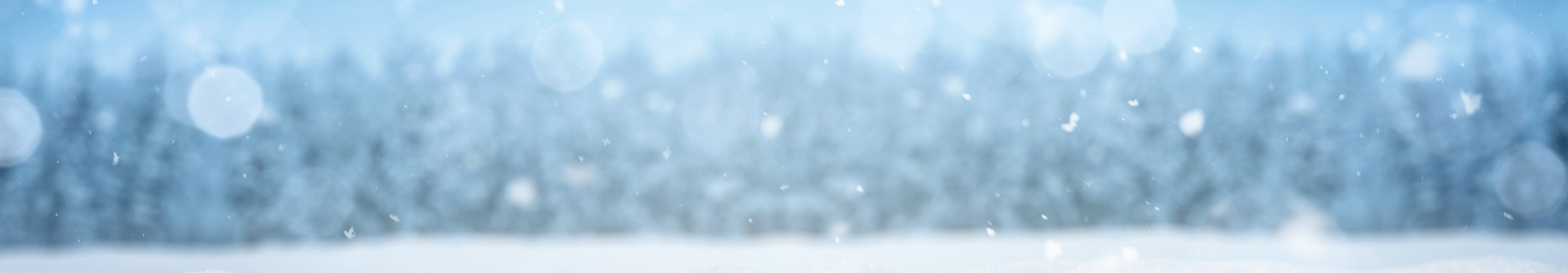 Verschneite Winterlandschaft mit Schneeflocken 