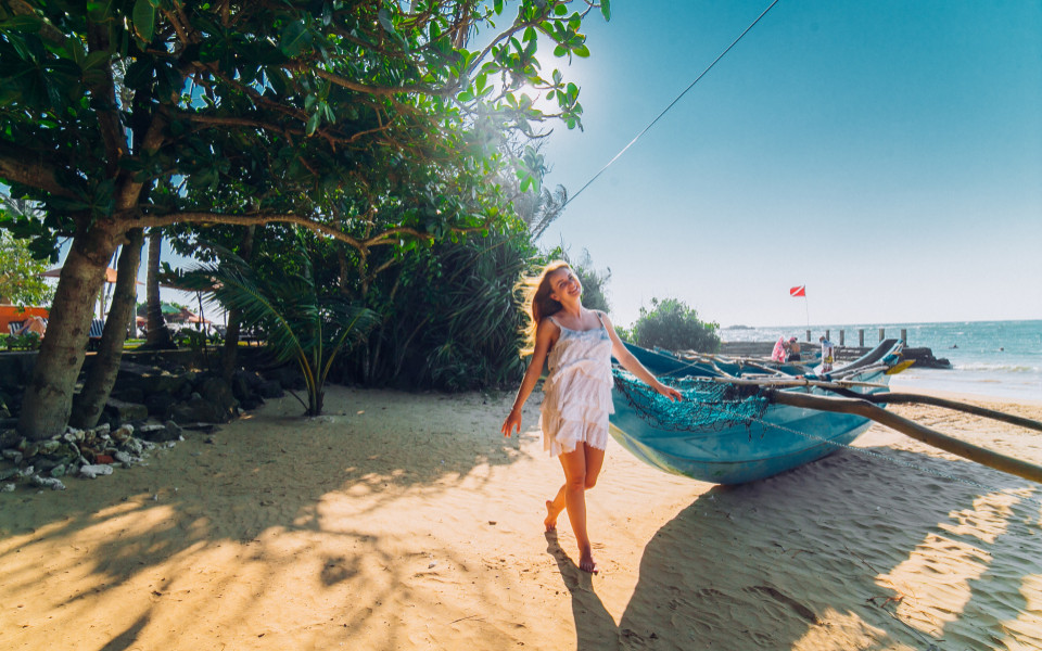 Bild Angebot Sri Lankas Süden und das Hochland