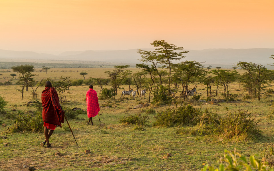 Zwei Massai-Männer gehen durch die savannenartige Landschaft des Masai Mara Nationalparks, während Zebras im Hintergrund grasen.