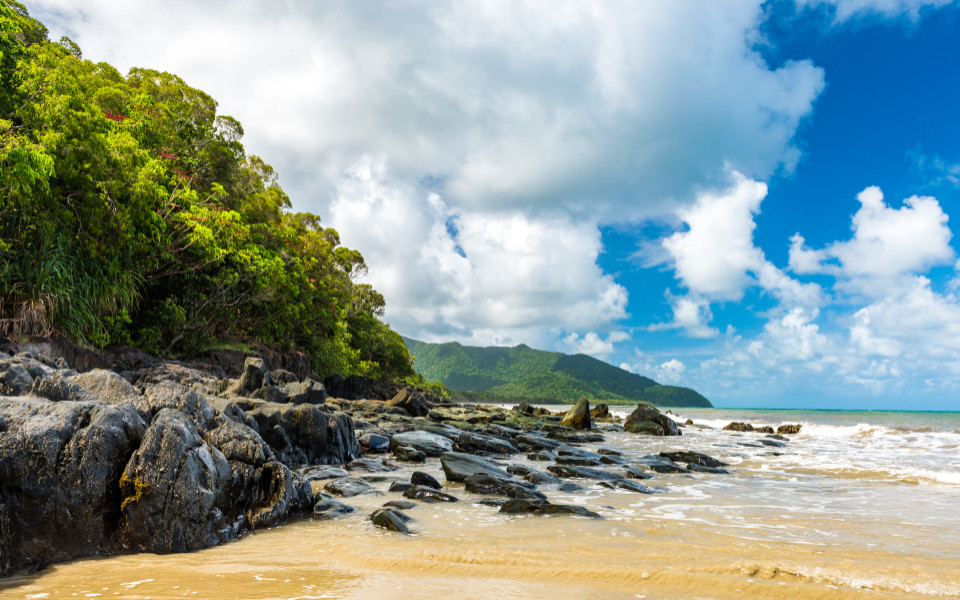 Cape Tribulation im tropischen Norden von Queensland, Australien