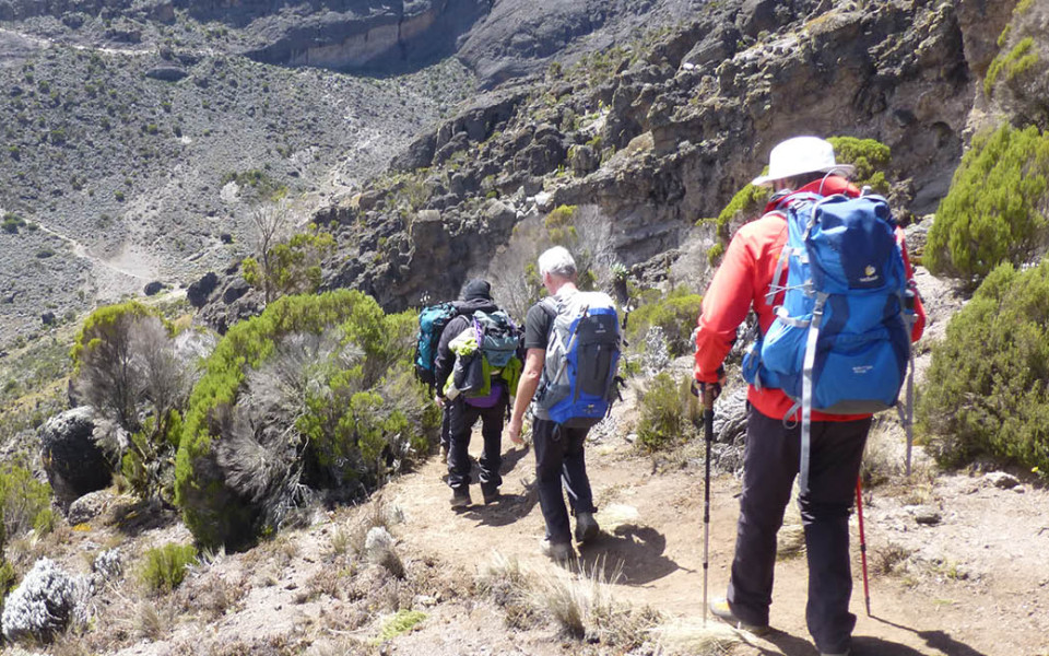 Bild Angebot Tansania - Besteigung Kilimanjaro