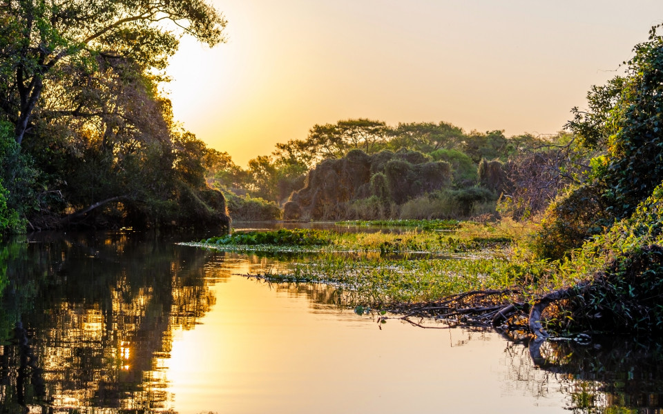 Blick auf das Sumpfgebiet Pantanal 