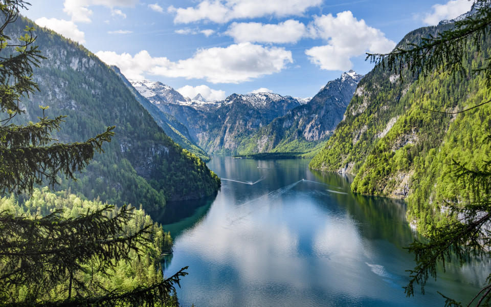Blick auf den K&ouml;nigsee im Berchtesgadener Land, mit den steilen Bergh&auml;ngen und dem klaren Wasser, das die umliegende Natur widerspiegelt.
