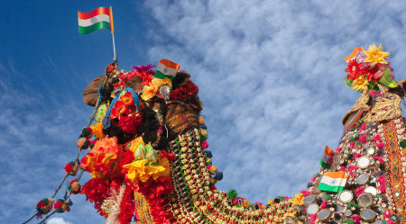 Kamelfestival-in-Bikaner